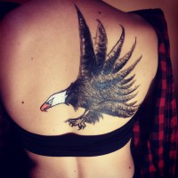 /album/galleria-fotografica/a11024207-759242687516173-5410387326113822391-n-jpg/